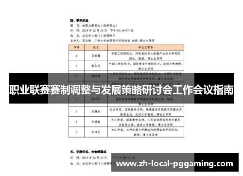 职业联赛赛制调整与发展策略研讨会工作会议指南