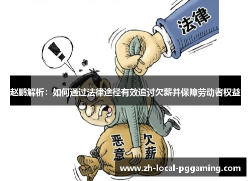 赵鹏解析：如何通过法律途径有效追讨欠薪并保障劳动者权益