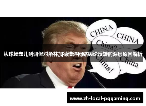 从球场宠儿到调侃对象林加德遭遇网络舆论反转的深层原因解析
