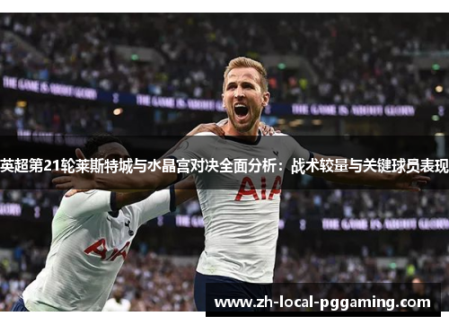 英超第21轮莱斯特城与水晶宫对决全面分析：战术较量与关键球员表现