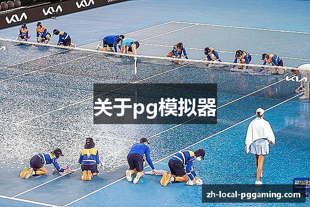 关于pg模拟器